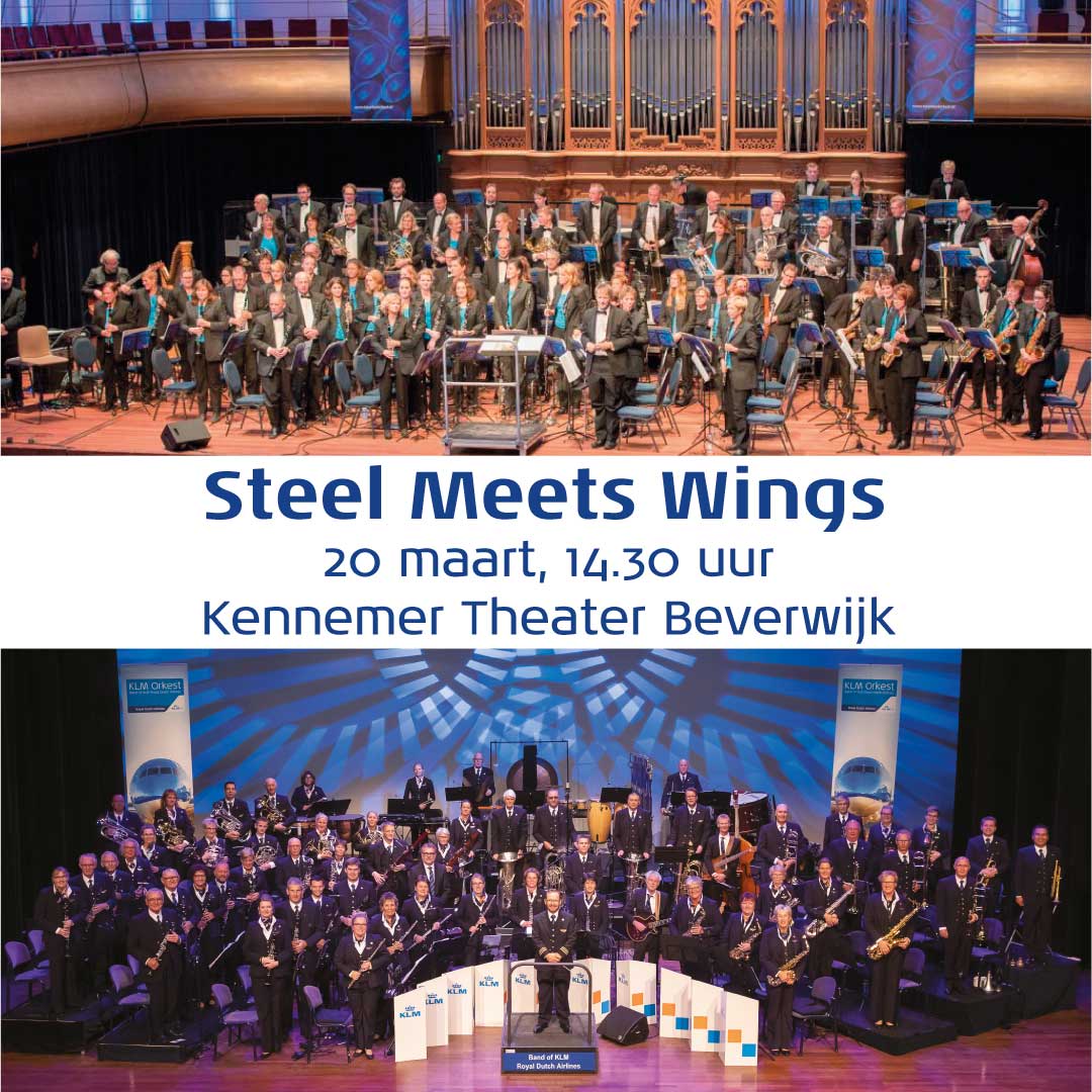 Steel meets wings website